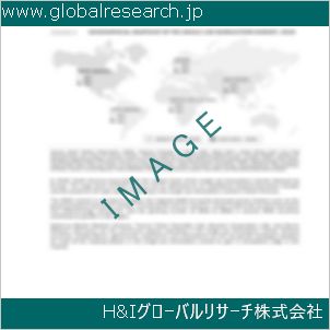 グローバルリサーチ調査資料のイメージ